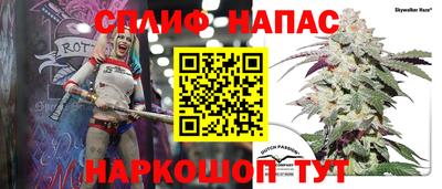 PSILOCYBIN Балахна