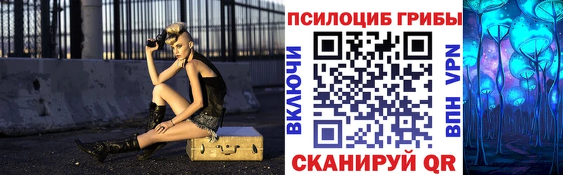 Псилоцибиновые грибы Psilocybine cubensis  блэк спрут   Ейск 