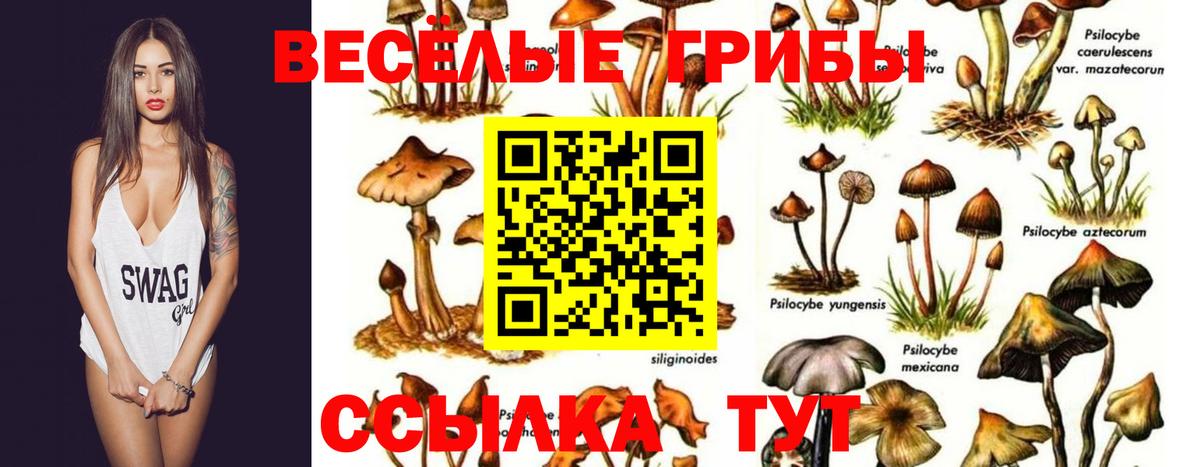 ГАШ  Ейск  Меф кристаллы  МДМА  Кокаин  Вход с VPN  Альфа ПВП СОЛЬ кристаллы 