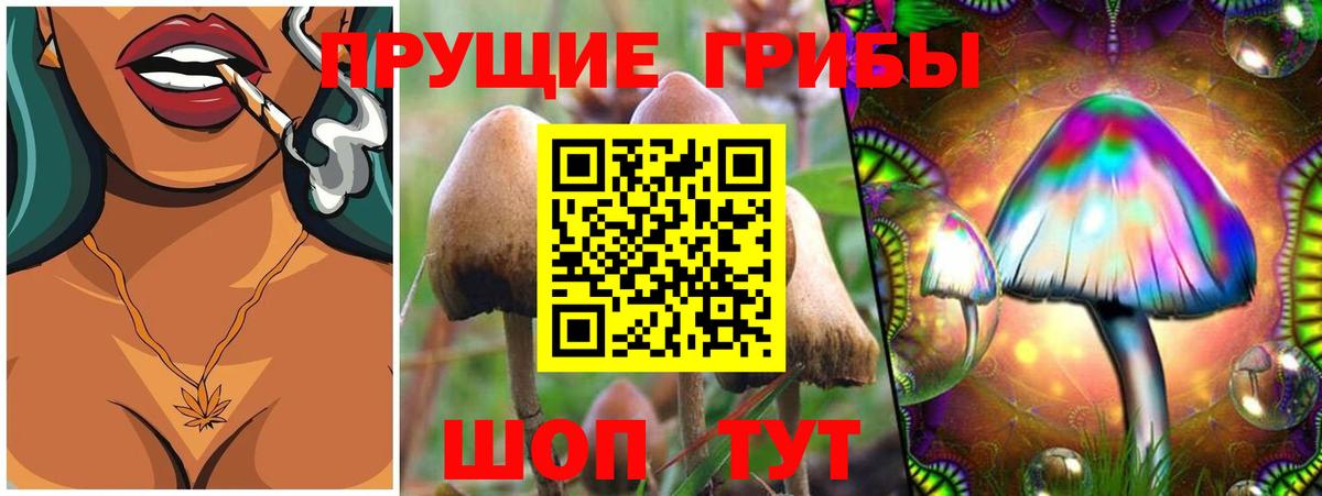 Псилоцибиновые грибы GOLDEN TEACHER Ейск