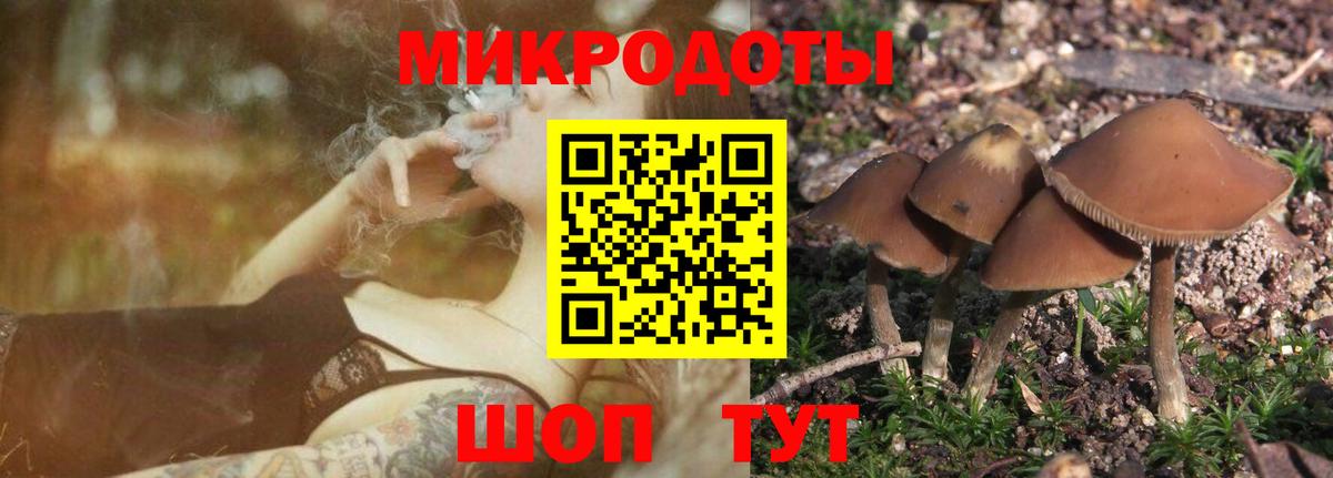 Псилоцибиновые грибы GOLDEN TEACHER  Вход с VPN  Ейск 